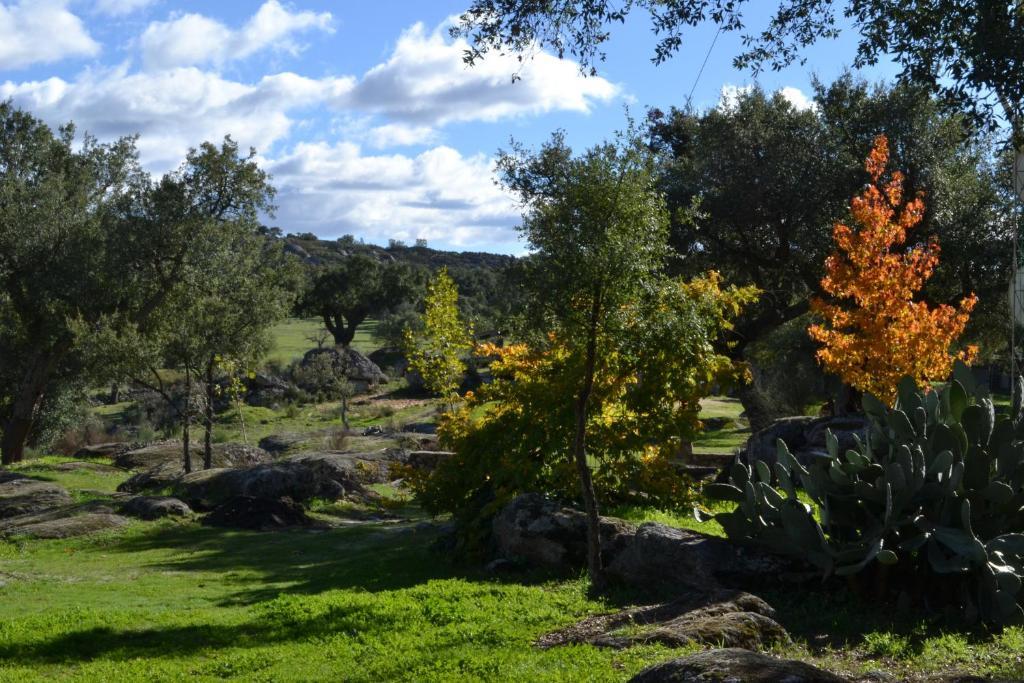 Finca El Cortinal Valencia de Alcántara Cameră foto